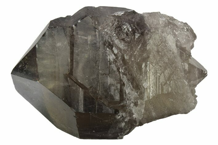 Dark Smoky Quartz Crystal - Brazil #234069